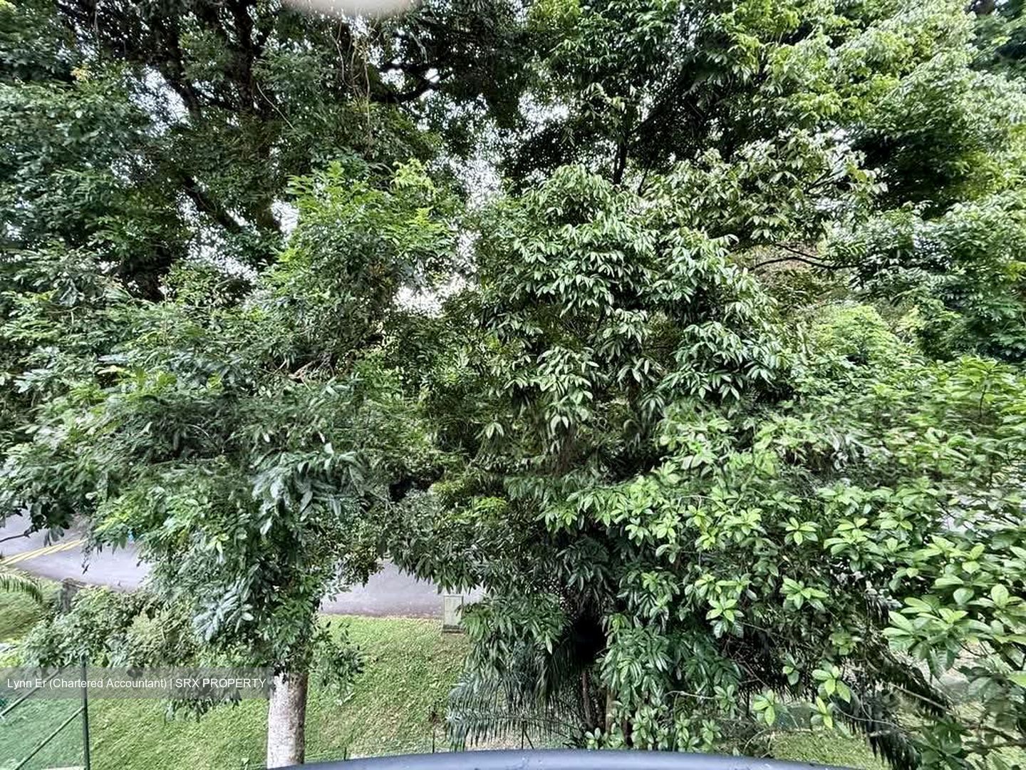 Tanglin Park (D10), Condominium #602101351